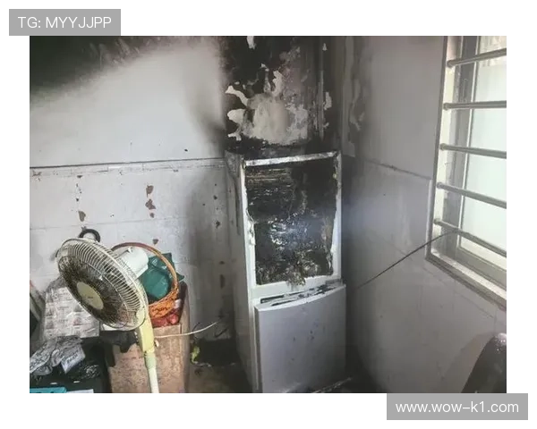 王昶家的冰箱里塞满了能量饮料，但厨房灶台从来没开过火