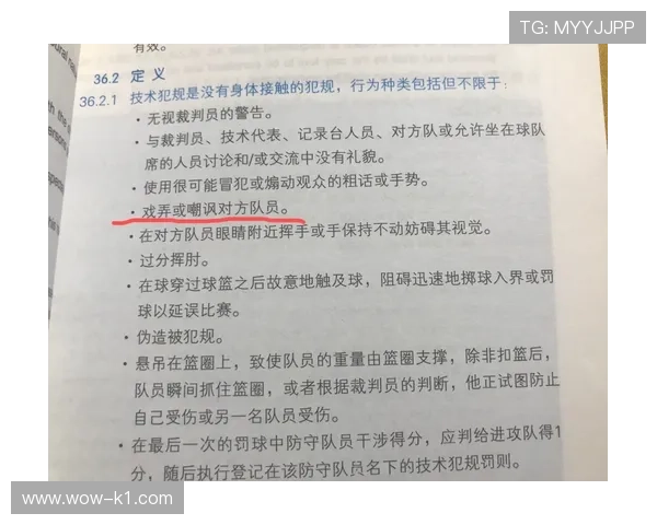 技术犯规处罚规则的具体条款内容与执行标准解析